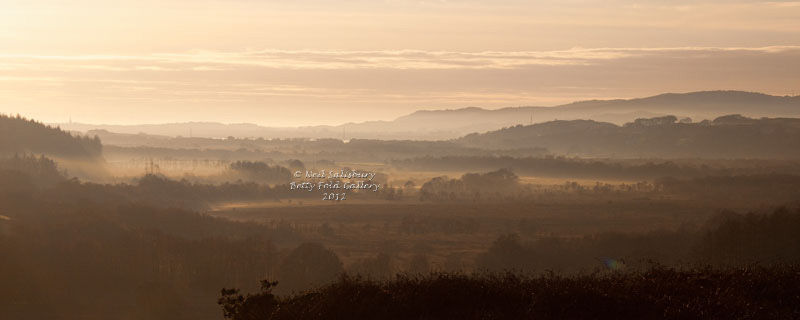 Lakeland Panoramas by Betty Fold Gallery